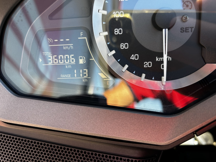 GOLDWIN BAGGER - NIMES